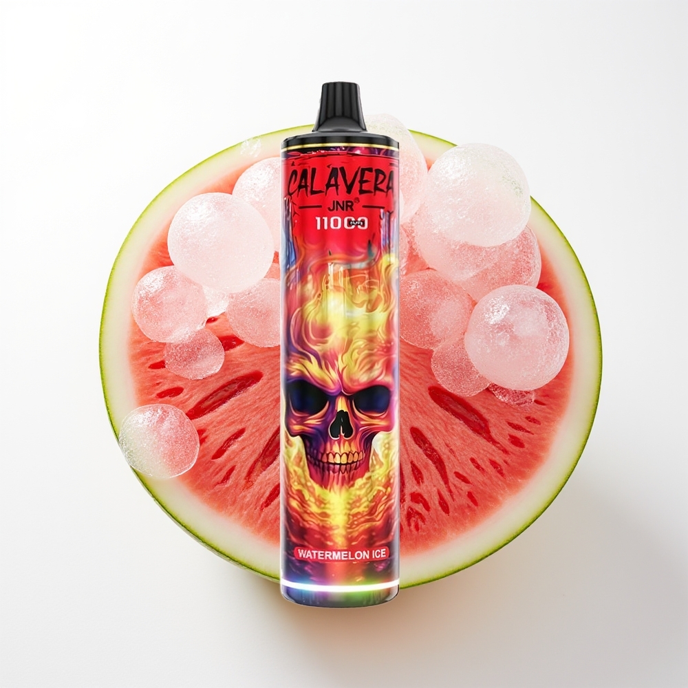 JNR Calavera 11000 Puffs Arbūzu Ledus Vienreizējās Lietošanas Vape Type-C 850mAh 21ml 1.0ohm Mesh Coil 0% 2% 5%