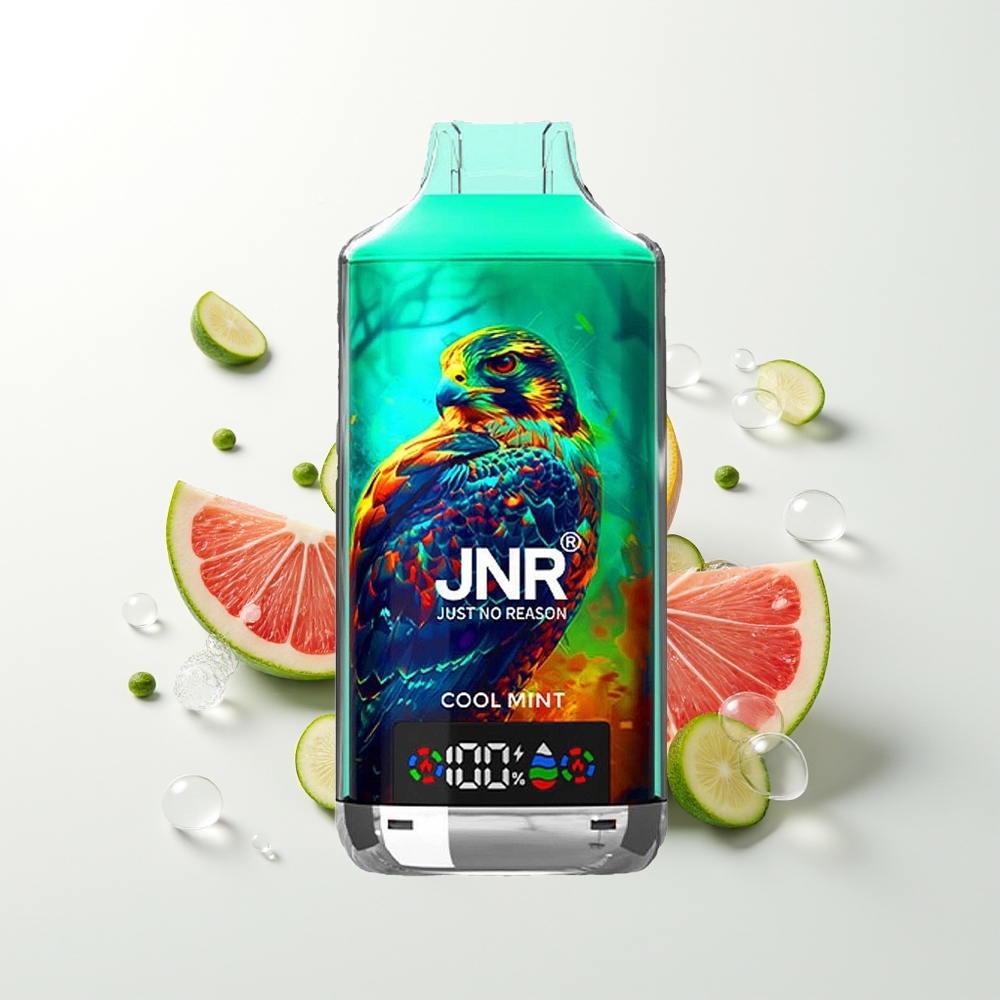 JNR Falcon X 18000 Iesūcas Vienreizējās Lietošanas Vape Vēsā Mētra 750mAh 24ml Diju Režģa Spole Digitālais Displejs Type-C 0%,2%,5%