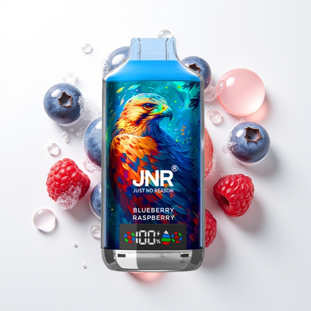 JNR Falcon X 18000 Iesūkumi Zilenes Avenes Displejs 750mAh 24ml Dubultā Režģa Spole Type-C