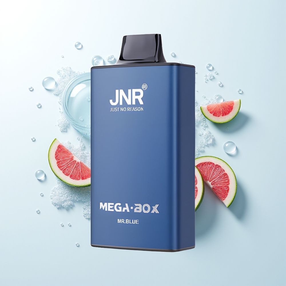 JNR Mega Box 25000 Puffs Vienreizējais Iztvaikotājs Zilais Mr Blue 30ml 850mAh Dual Mesh Dual Core Type-C