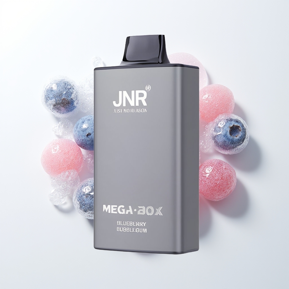 JNR Mega Box 25000 Puffu Vienreizējās Lietošanas Vape Zilā Mellenes Burbuļgumija 30ml 850mAh Dual Mesh Coil Type-C