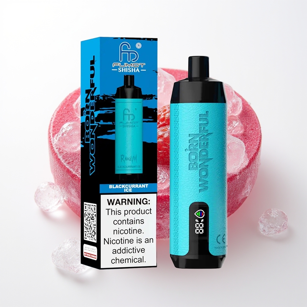 RandM Fumot Shisha 10000 Puffs Melna Ribes Ledus Vienreizējās Lietošanas Vape ar LED Indikatoru, 18ml e-šķidruma, 850 mAh Akumulatoru, 0.6ohm Mesh Spoli un Type-C Portu, 0.5% Nikotīna Saturs